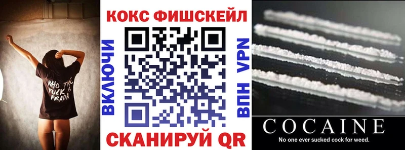 Купить закладки Вяземский COCAIN Эквадор