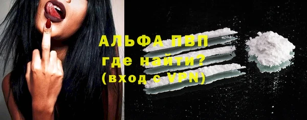 шишки Заволжск