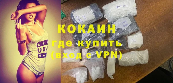 шишки Заволжск