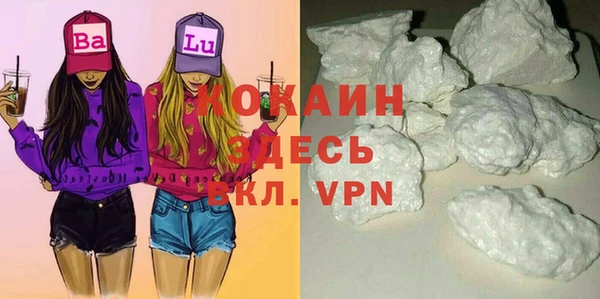 шишки Заволжск