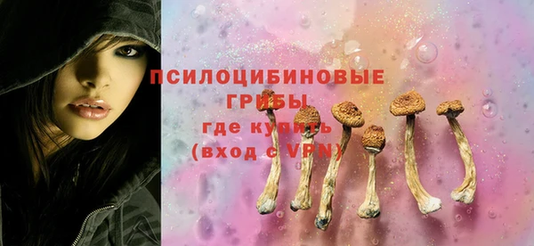 шишки Заволжск