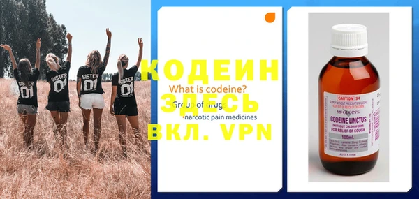 шишки Заволжск